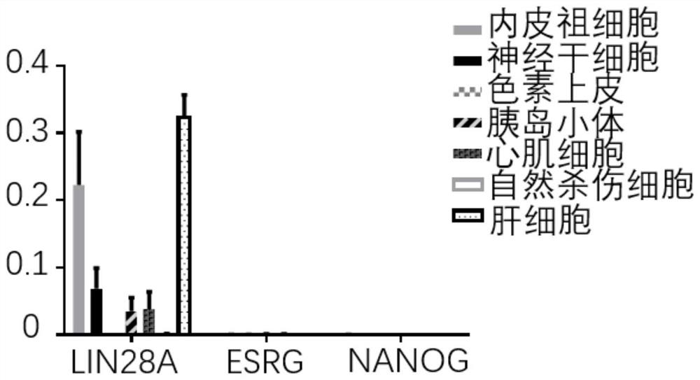 iPSC residue detection method using ESRG gene as universal marker gene