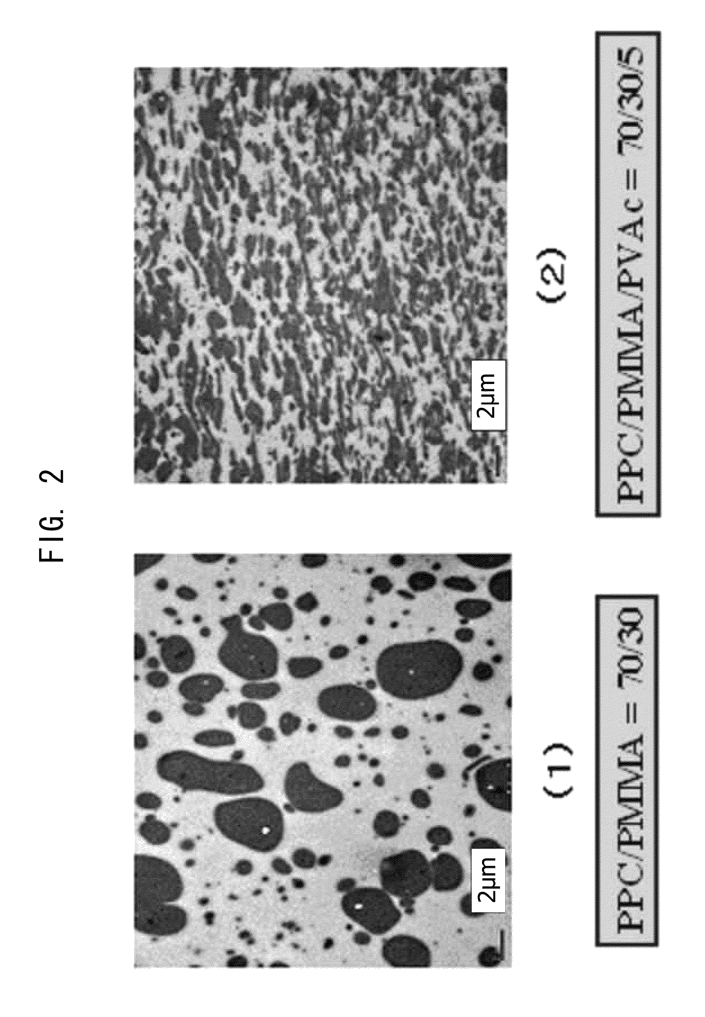 Ternary blends of aliphatic polycarbonate derived from carbon dioxide, and process for producing same