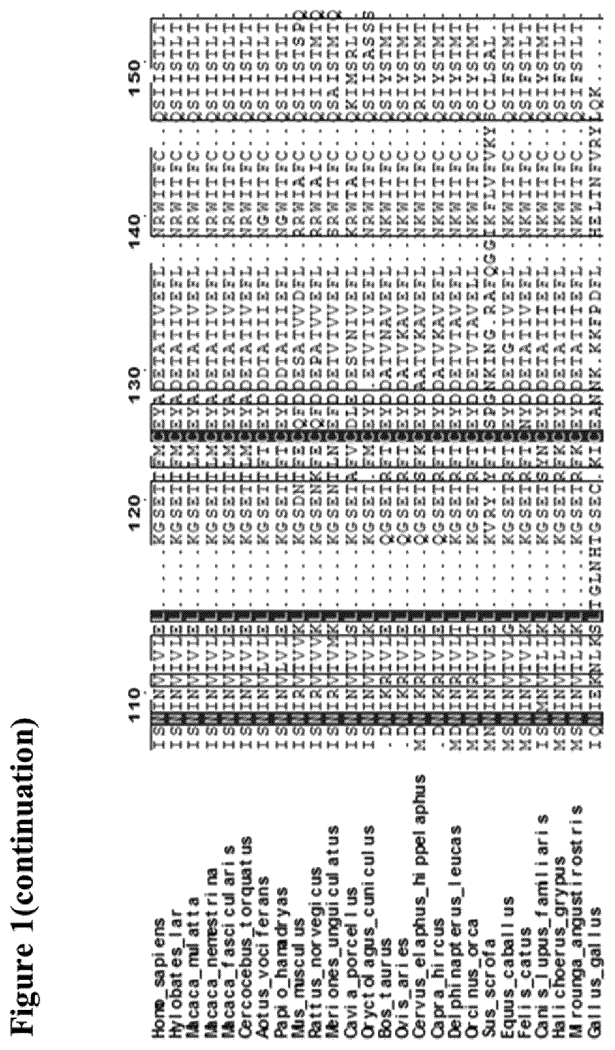 Interleukin-2 Variants with Modified Biological Activity