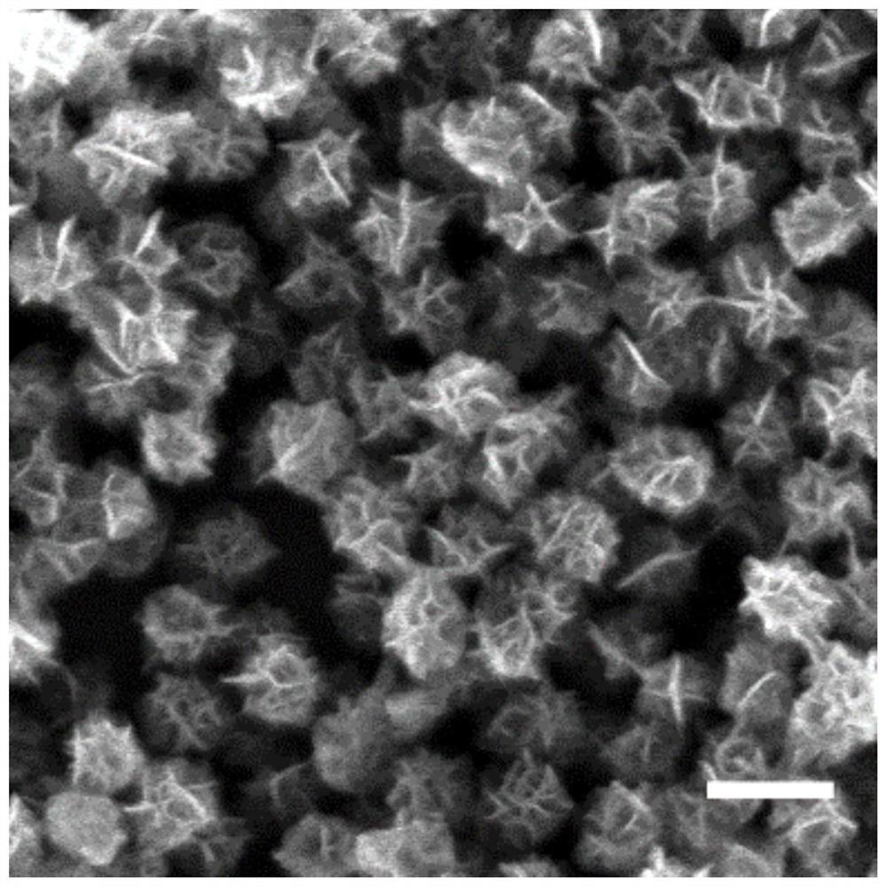 A nano-photodynamic reagent capable of near-infrared light excitation and self-supply oxygen and its preparation and application