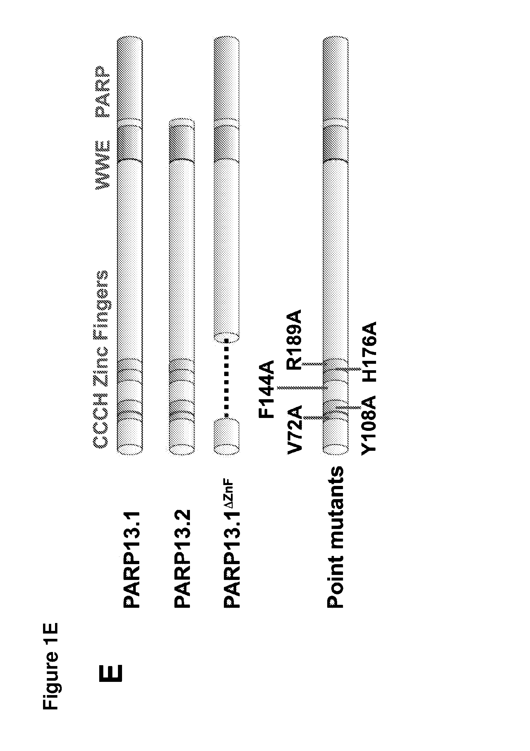 Compositions and methods for treating immune and viral disorders and modulating protein-rna interaction