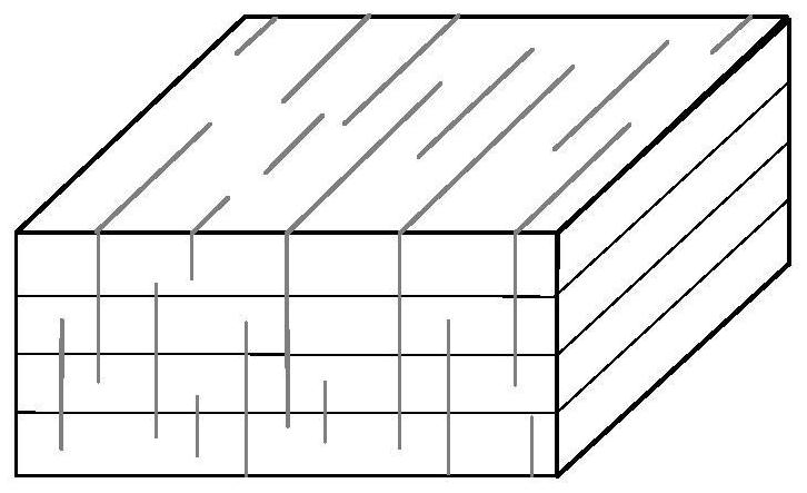 Ray Tracing Method and System for Orthotropic Media Based on Phase Velocity