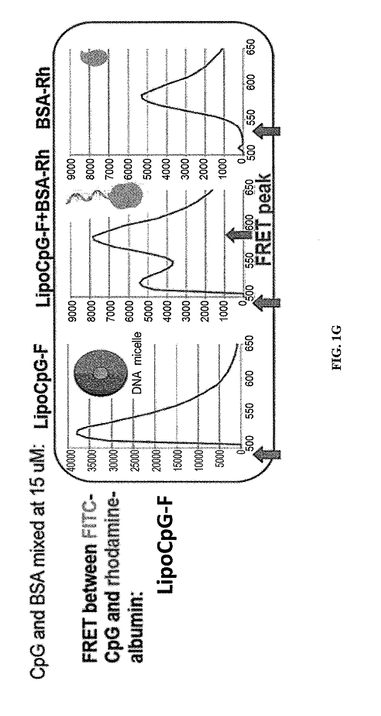 Immunostimulatory compositions and methods of use thereof