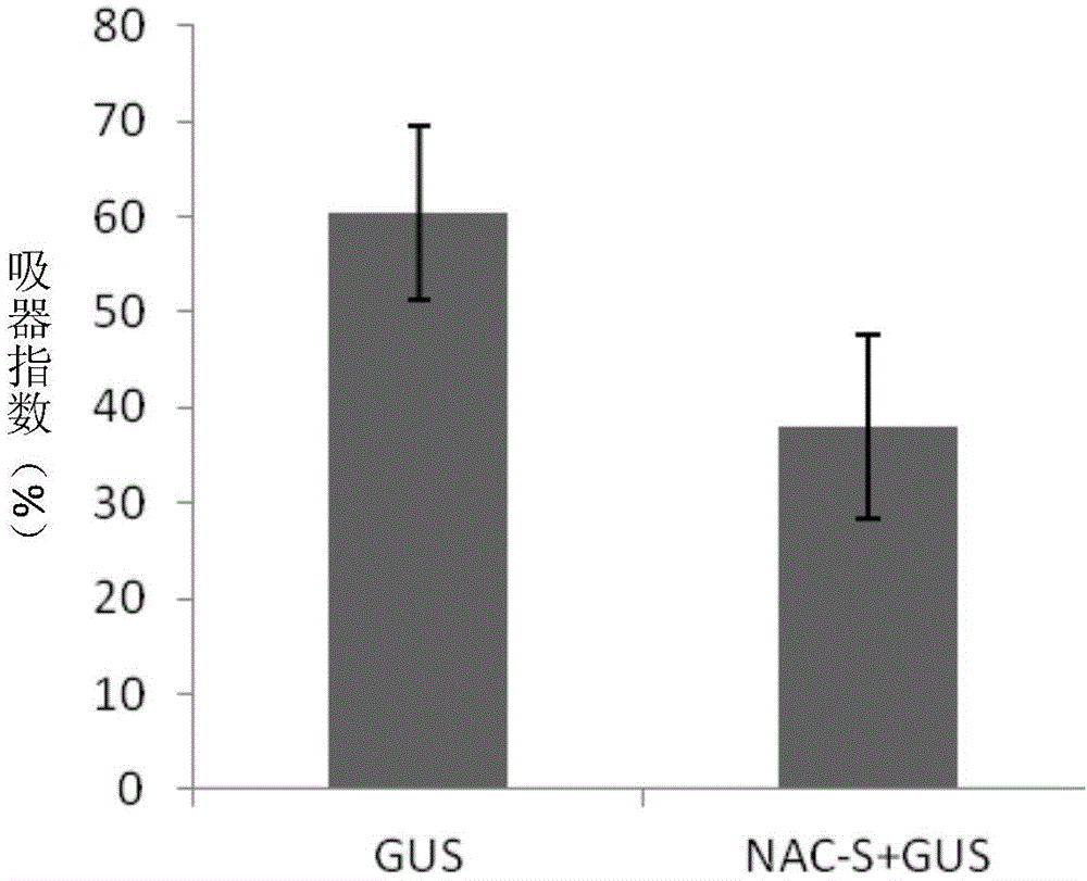 NAC transcription factor gene TaNACs in wheat as well as expression vector and application thereof