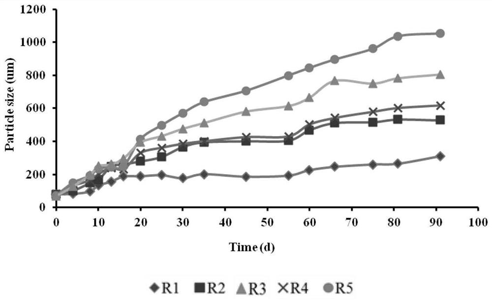 Aerobic granular sludge rapid culture and stabilization method based on quorum sensing signal molecule synthesis