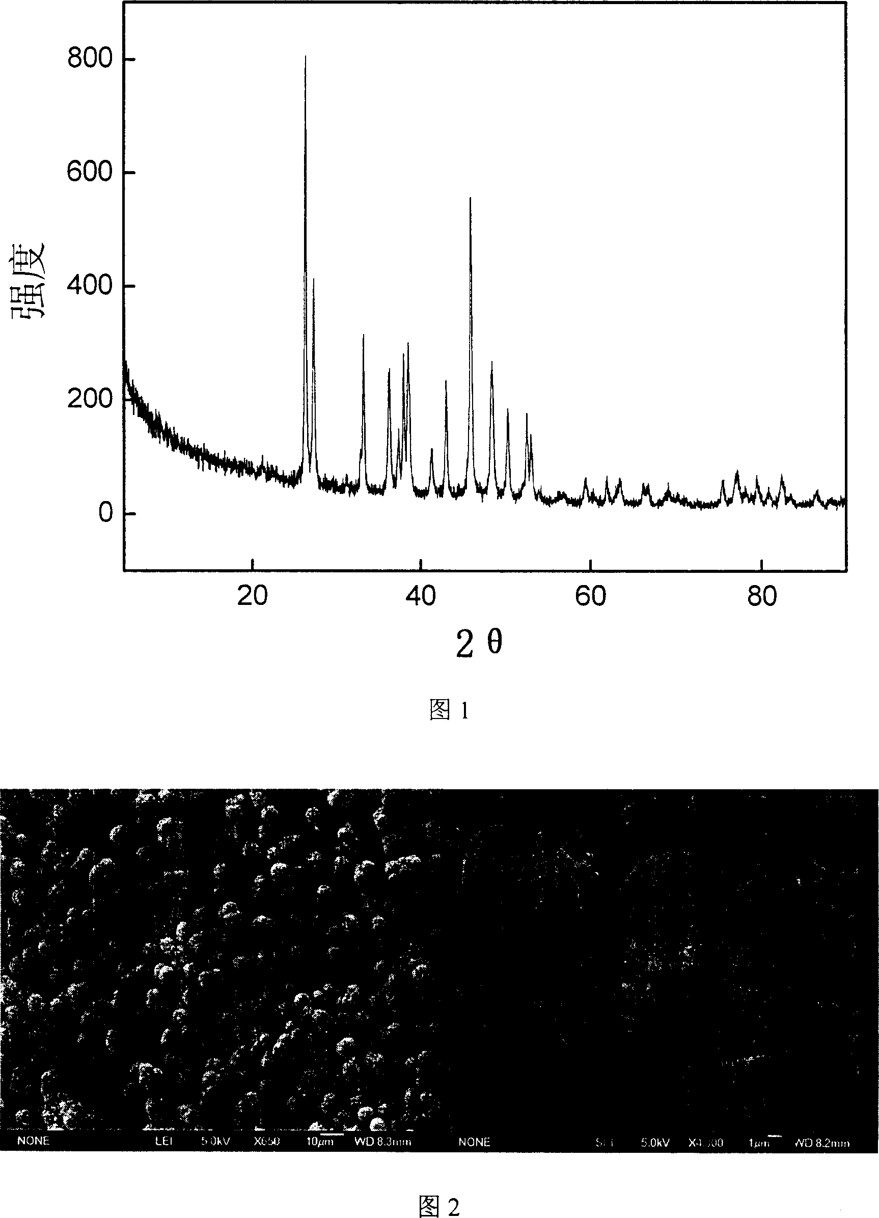 Technique of mineral carbonation CO2 fixing joint produced carbonate products