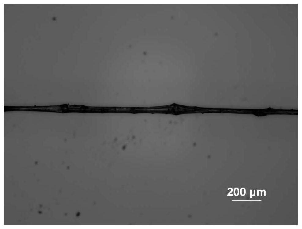 Spider silk-like polymer fiber, its preparation method and its use