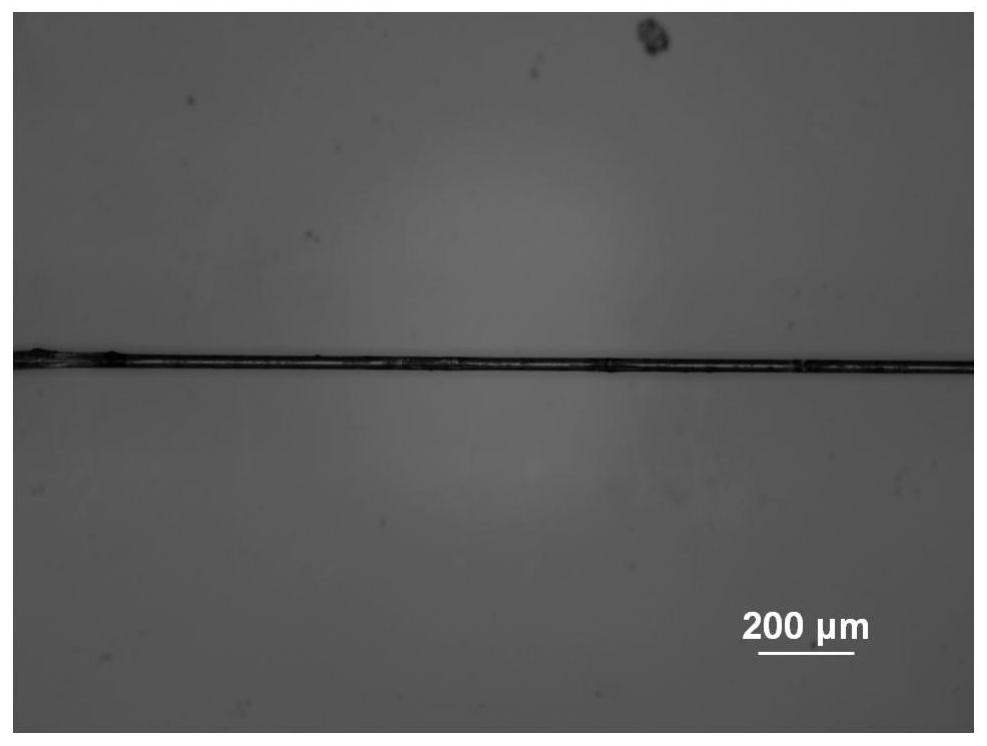 Spider silk-like polymer fiber, its preparation method and its use