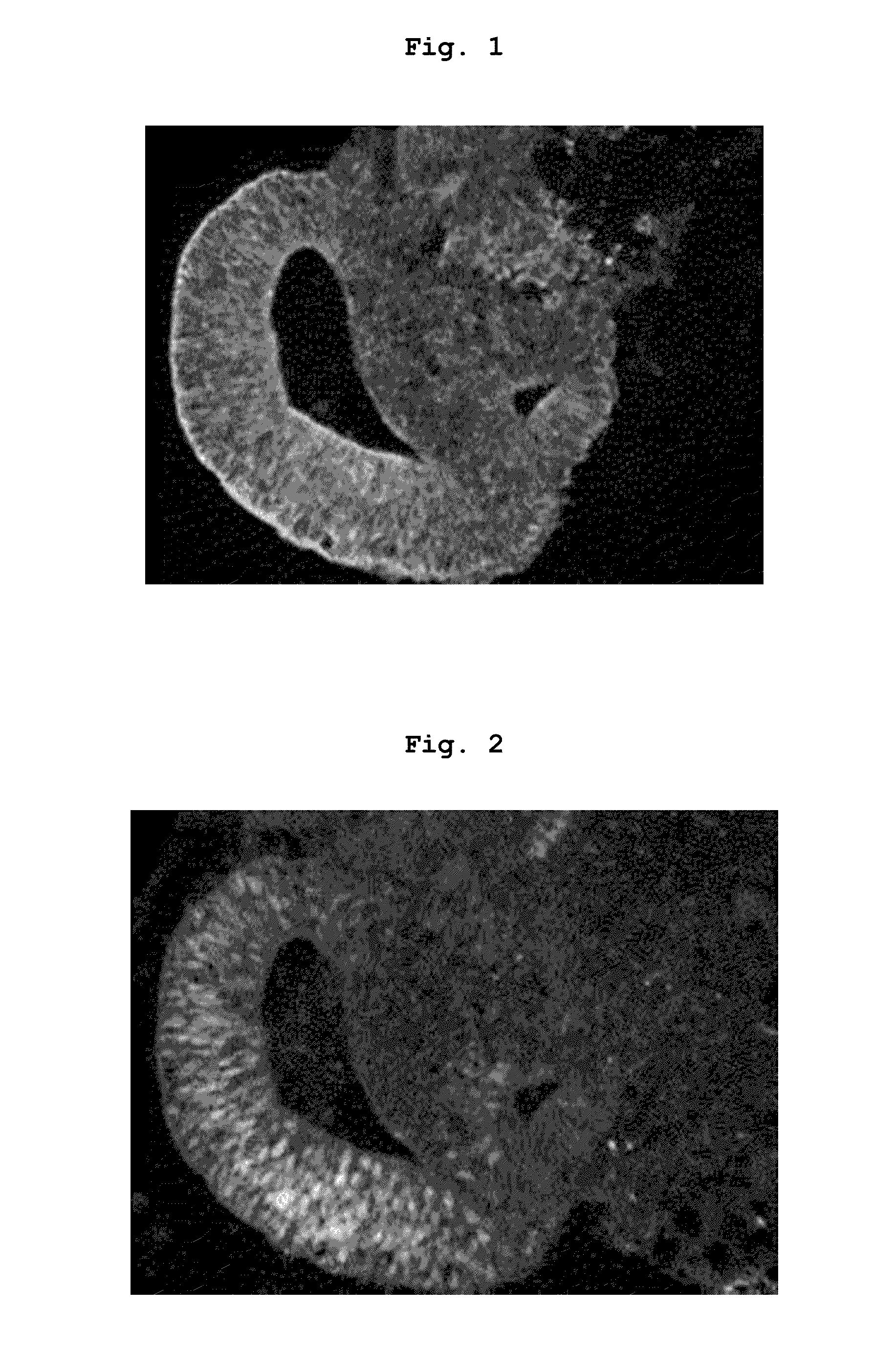 Method for producing ciliary marginal zone-like structure