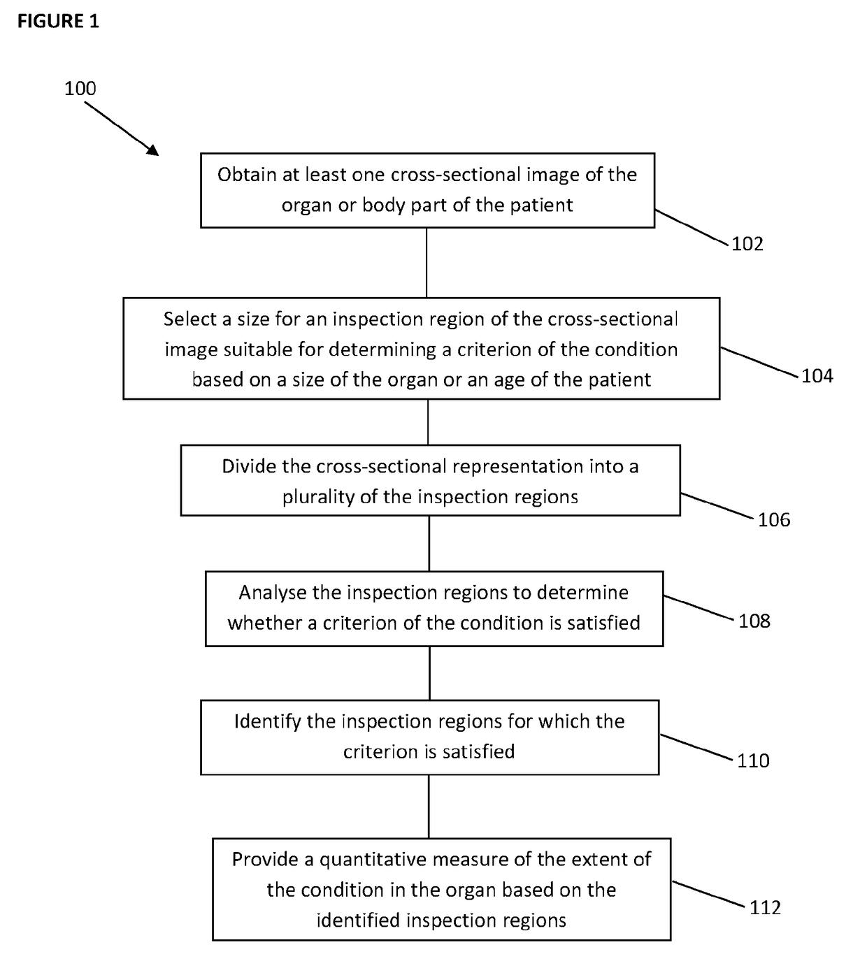 A Method of Analysing an Image for Assessing a Condition of an Organ of a Patient