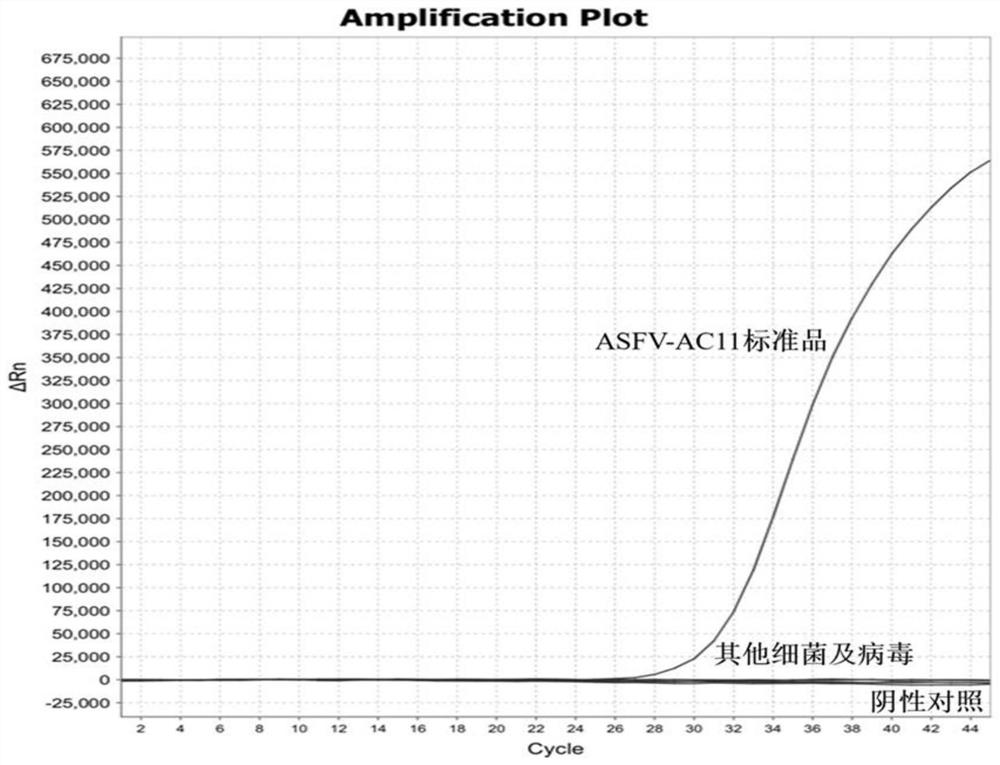 EMA-ddPCR primer and probe for detecting infectious ASFV and application