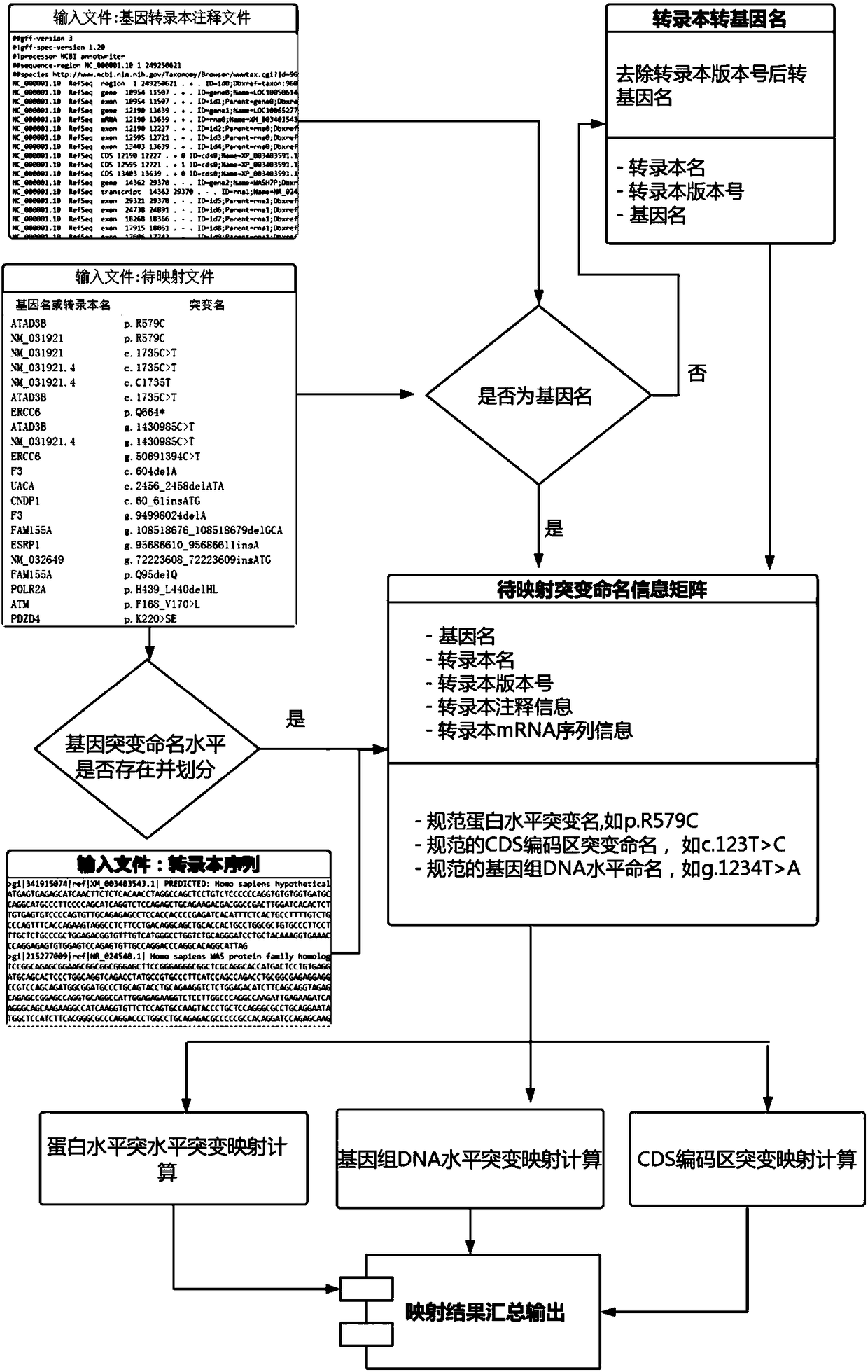 A dna and protein level mutation analysis system