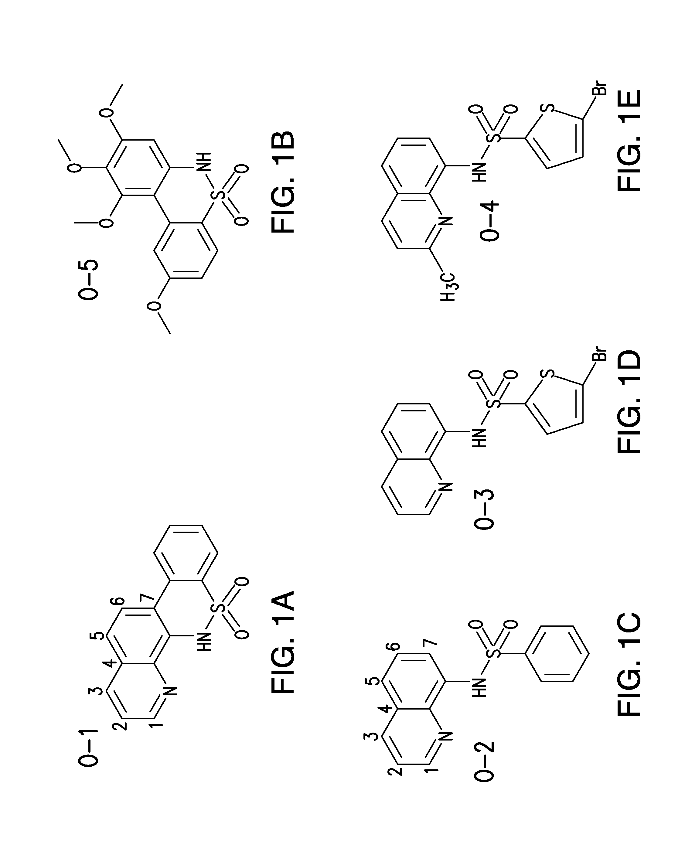 N-quinolin-benzensulfonamides and related compounds for the treatment of cancer, autoimmune disorders and inflammation