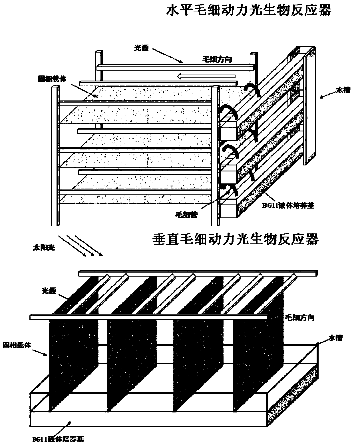 Microalgae solid-phase attachment growth culture method based on capillary power supply water supply and nutrition