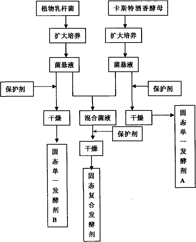 Lactobacillus plantarum for food fermentation and applications thereof