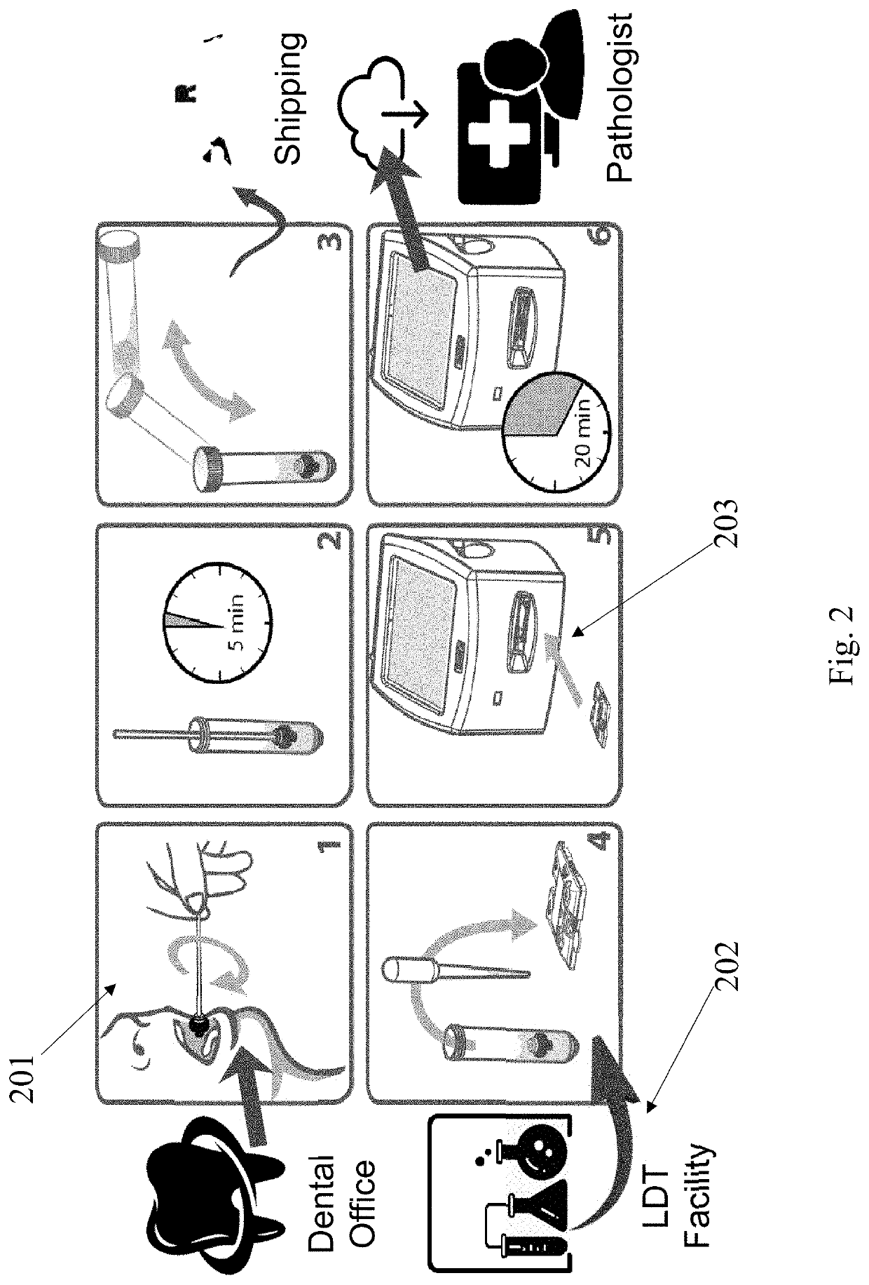 Systems and Methods of Oral Cancer Assessment Using Cellular Phenotype Data