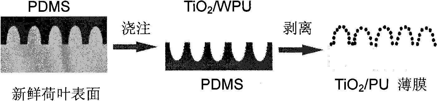 Method for preparing superhydrophobic surface by using nano-particles for assisting micromolding