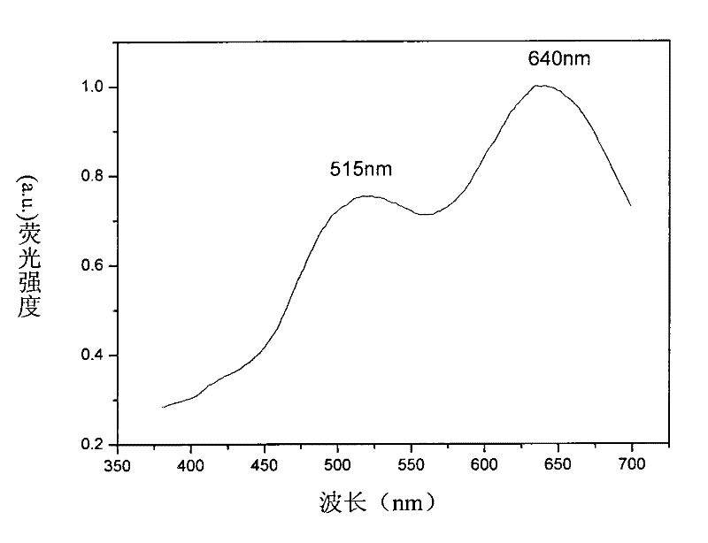 Chitosan/quantum dot nanocomposite film and preparation method and application thereof