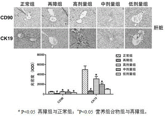 Nutrition compound and application in preparing drug for promoting stem cell proliferation