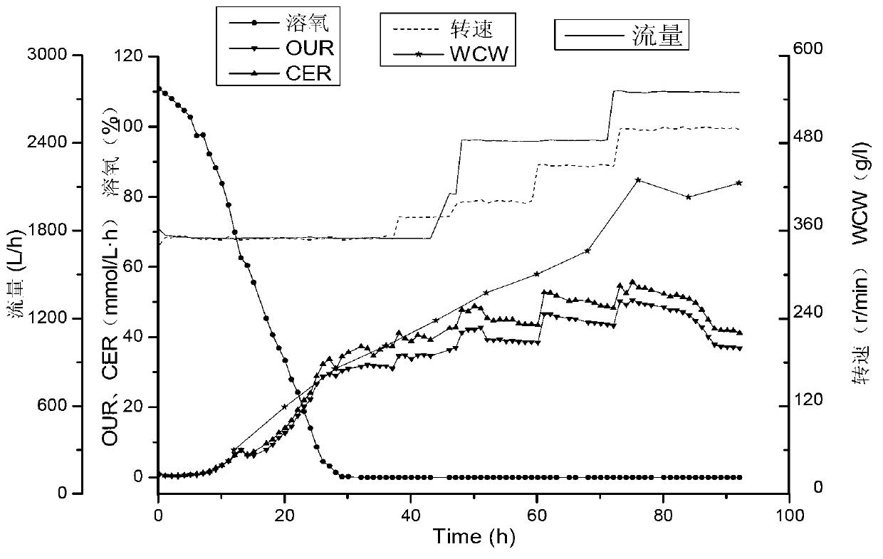 Novel process for fermenting coenzyme Q10 based on online oxygen consumption rate control