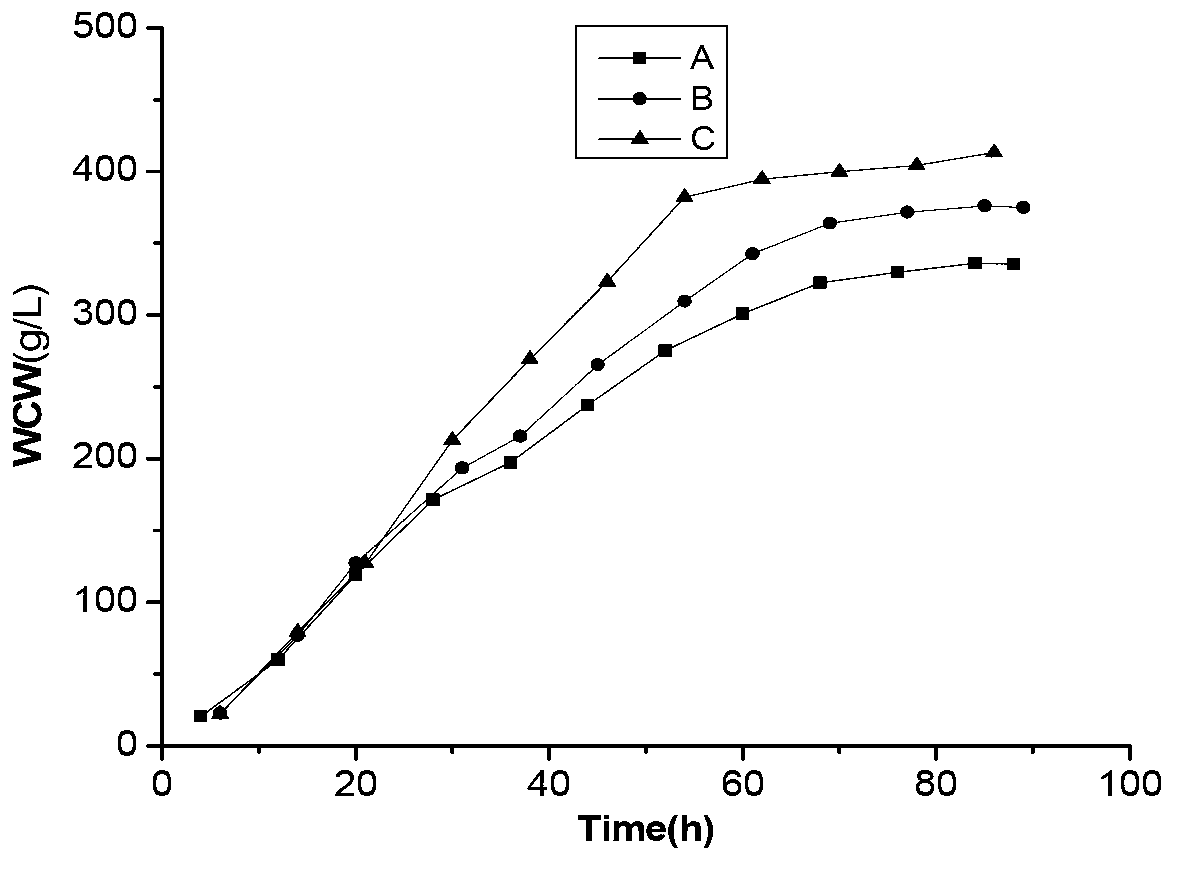 Novel process for fermenting coenzyme Q10 based on online oxygen consumption rate control
