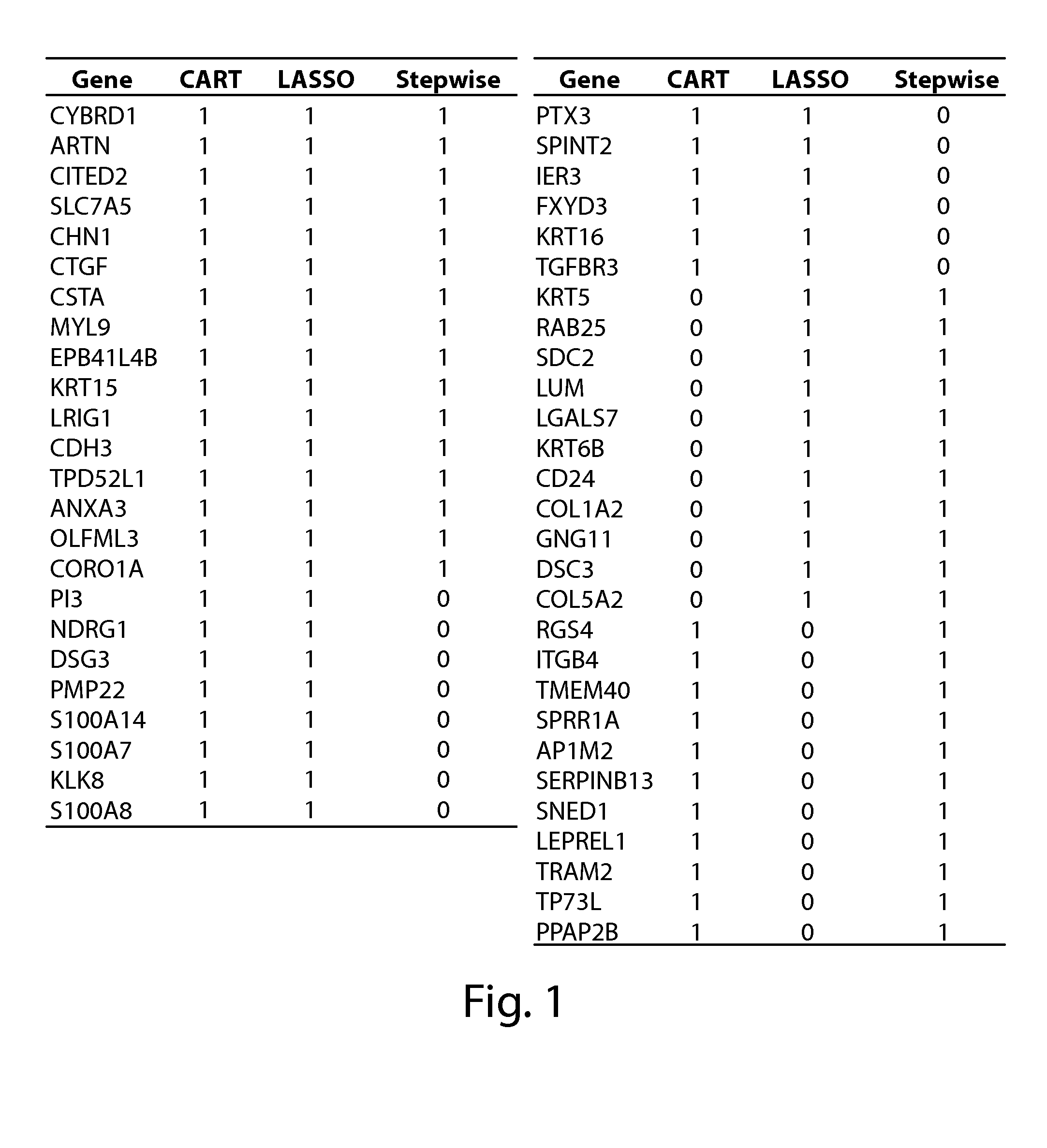Biomarkers for cancer stem cells and related methods of use