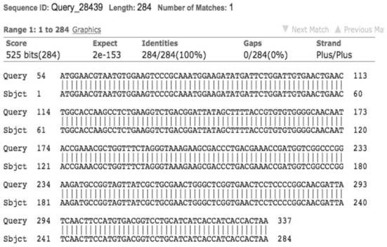 An antigen for detecting sperm antibody, its expression vector, its kit and detection method