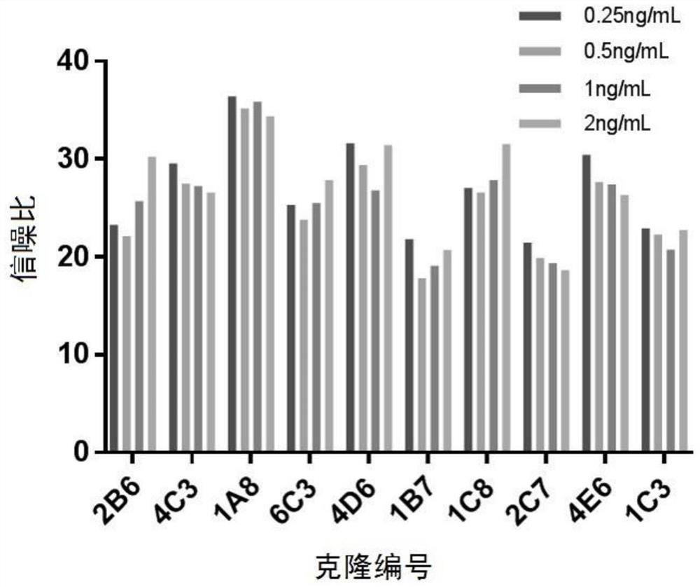 A method for rapid determination of cgrp/cgrp receptor antibody drug biological activity