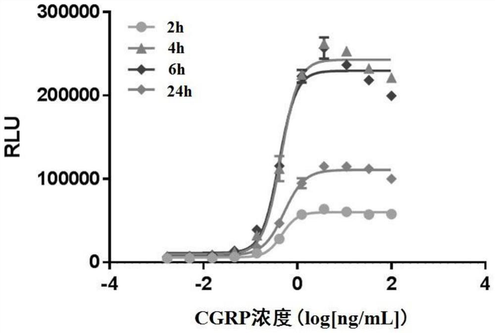 A method for rapid determination of cgrp/cgrp receptor antibody drug biological activity