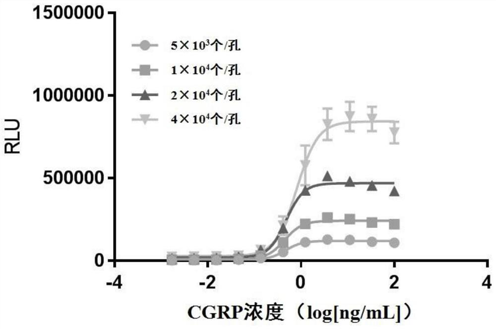 A method for rapid determination of cgrp/cgrp receptor antibody drug biological activity