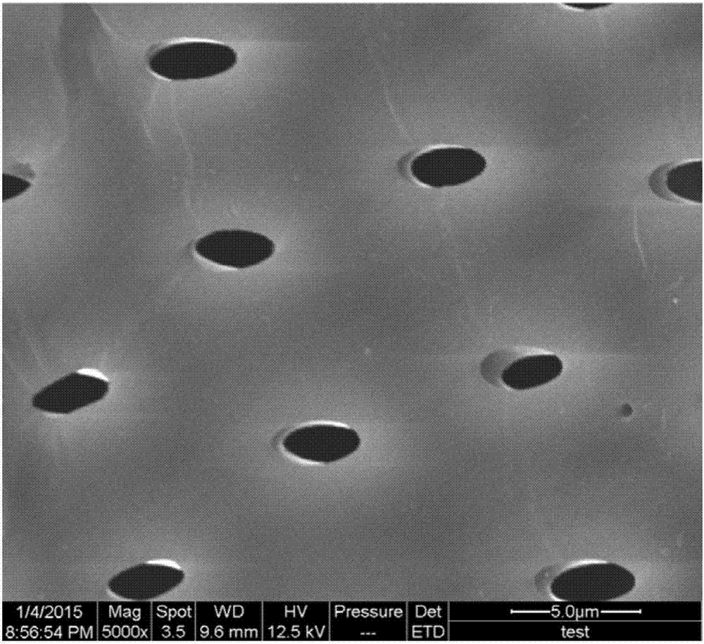 Treatment method for improving wood weather resistance and amphiphobic performance without pollution