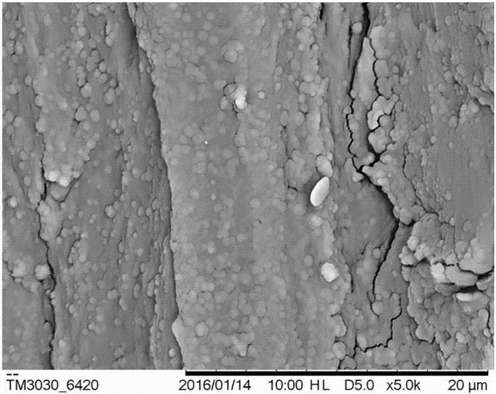 Treatment method for improving wood weather resistance and amphiphobic performance without pollution