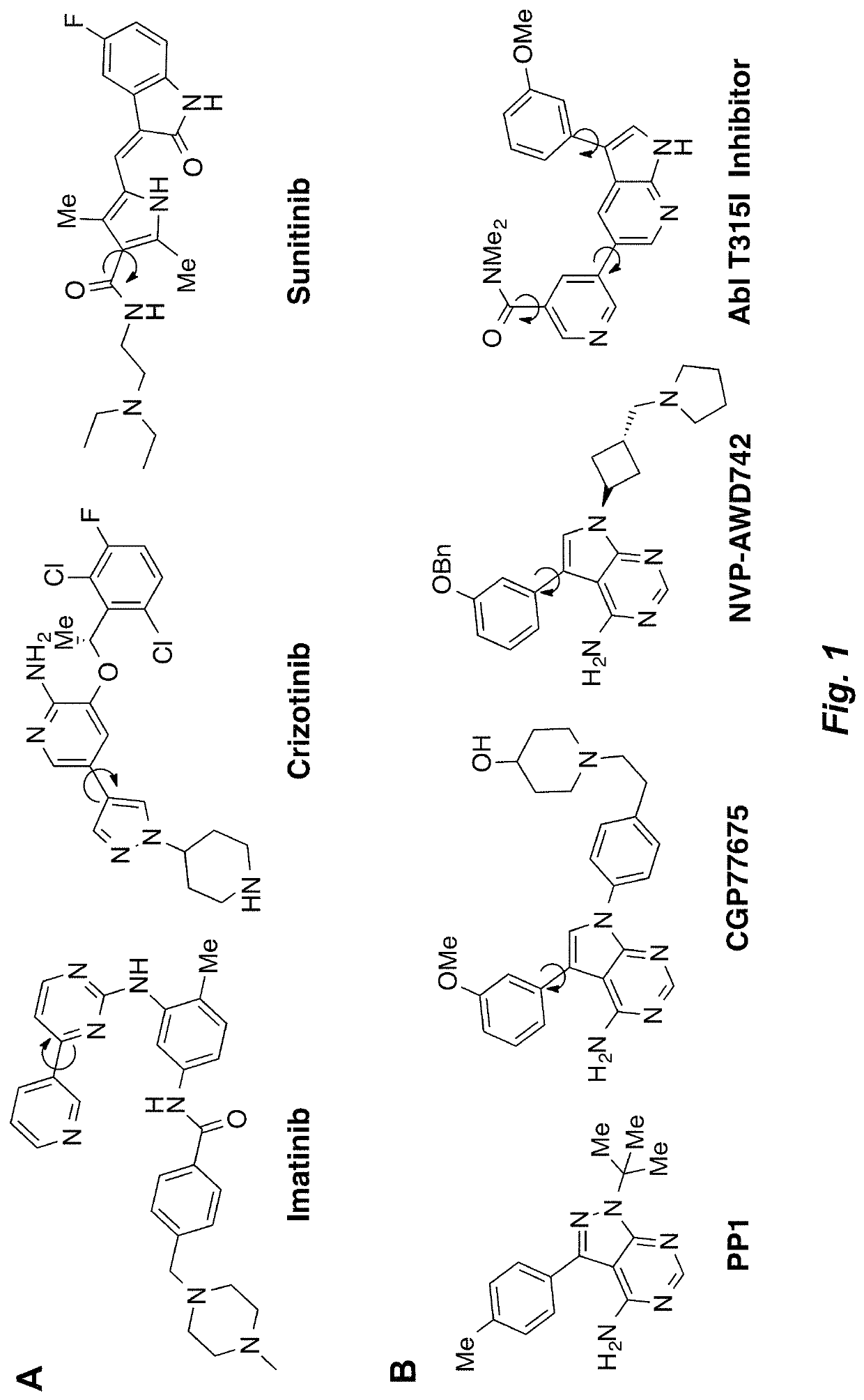 Atropisomerism for enhanced kinase inhibitor selectivity