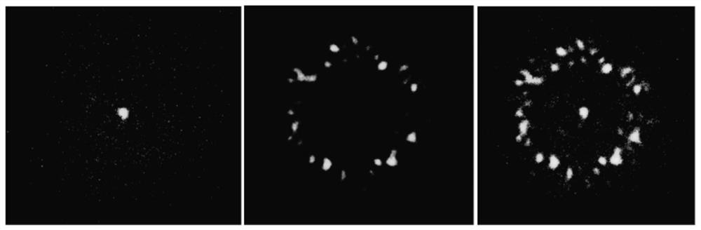 Microwave photonic transversal filter based on single-wavelength and multimode fiber delay line modules