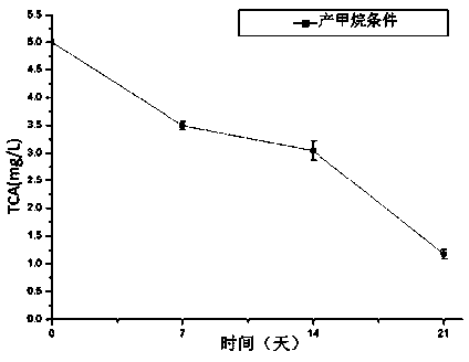 Preparation method of fungicide for anaerobic degradation of hydrochloric ether and application thereof