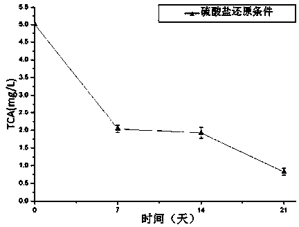 Preparation method of fungicide for anaerobic degradation of hydrochloric ether and application thereof