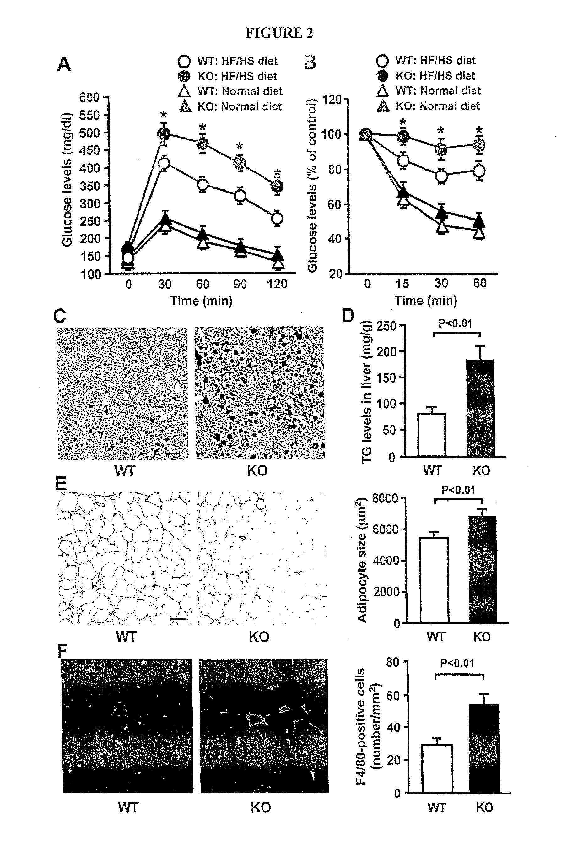 Compounds and methods to measure metabolic function and restore normal metabolic function
