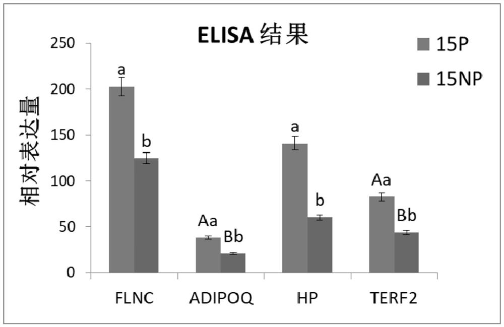Protein biomarker for early pregnancy diagnosis of sows and method for early pregnancy diagnosis of sows