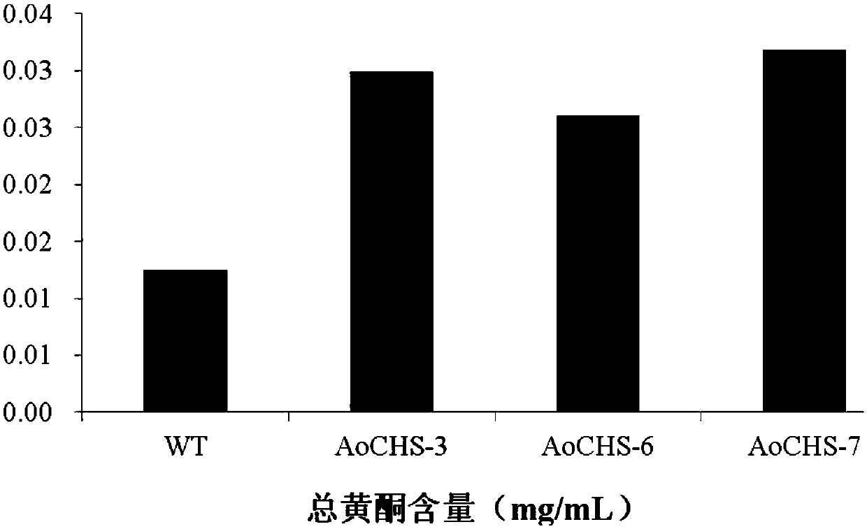 Asparagus chalcone synthase gene and its encoded protein and application
