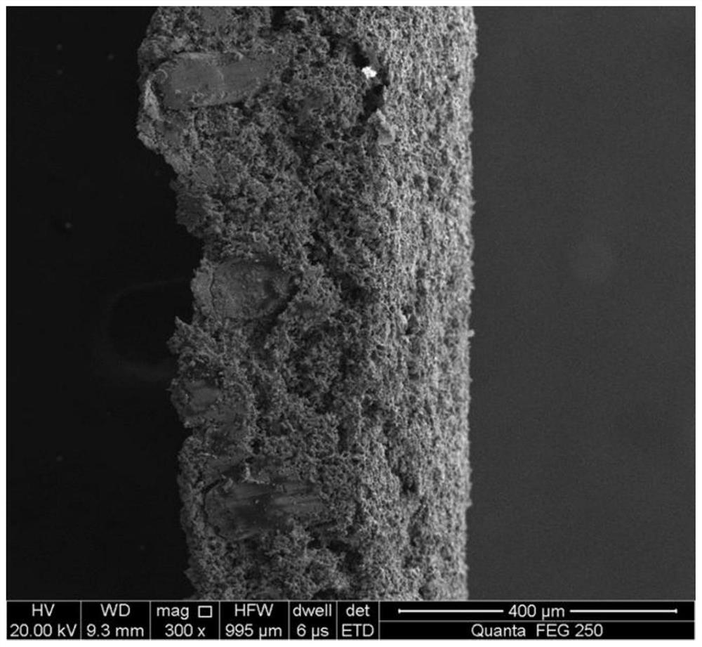 Method for preparing FeAl intermetallic compound flexible film through activated sintering of pre-alloyed powder