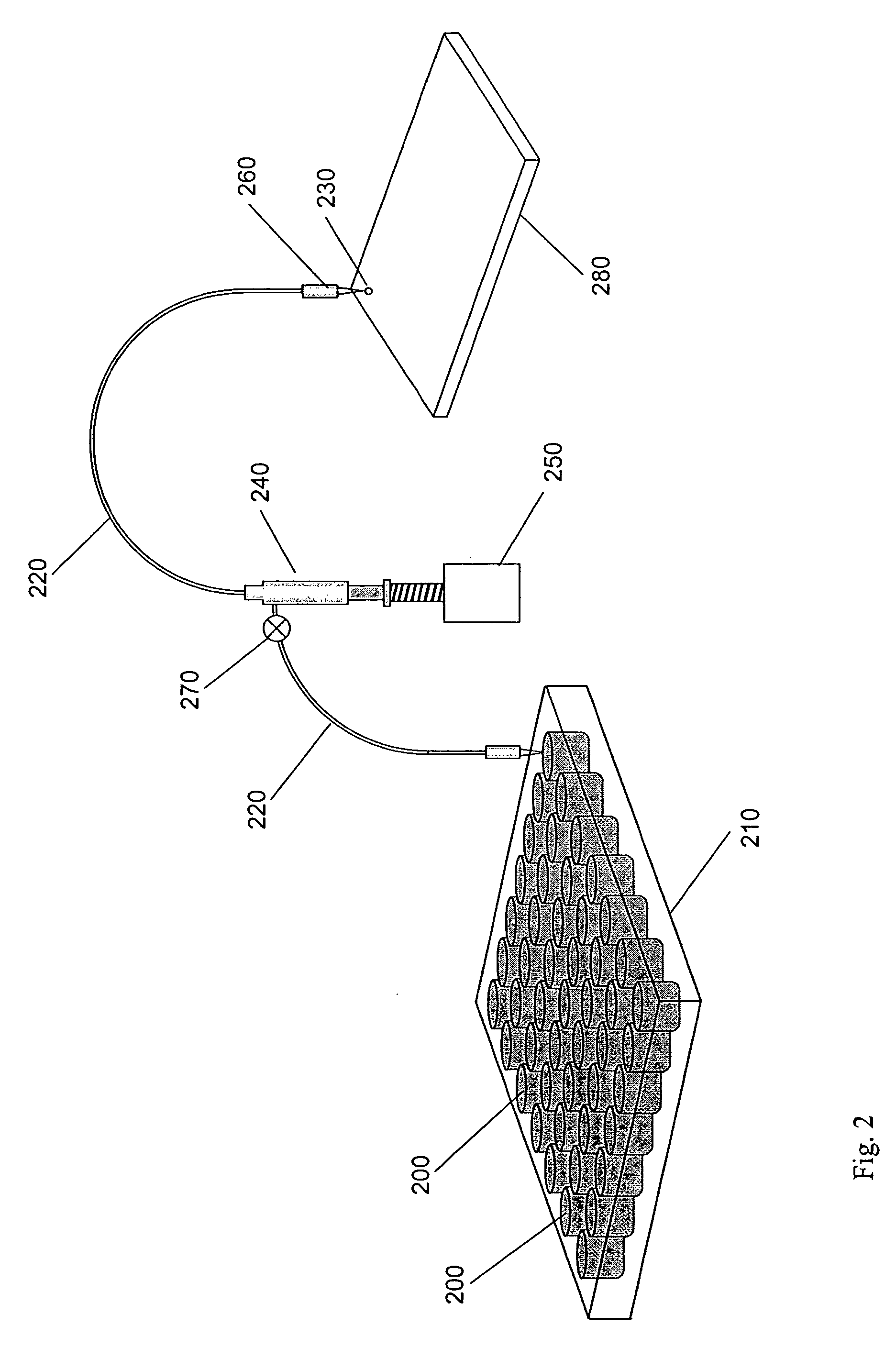 Device and method for detection and identification of biological agents