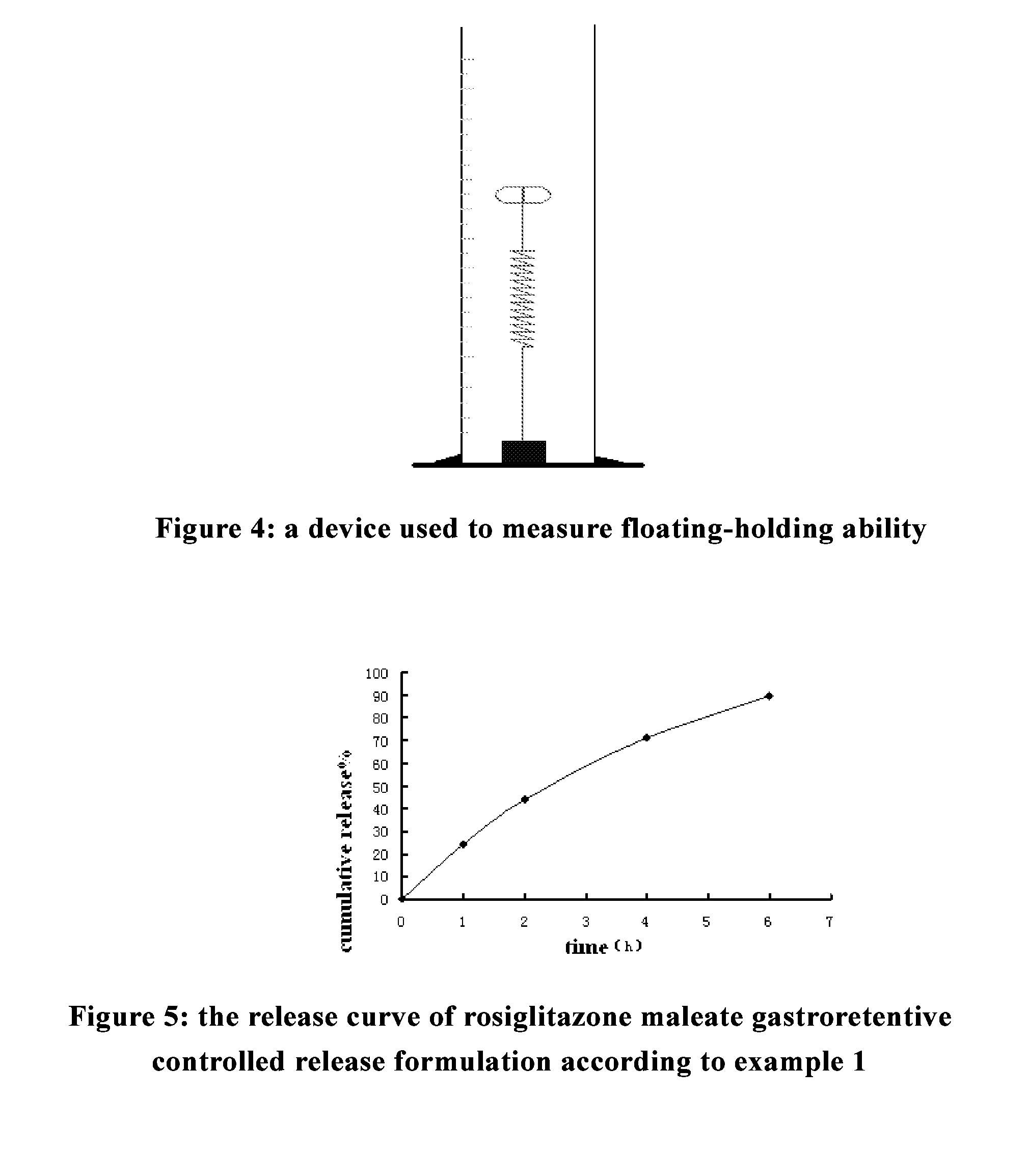 Gastroretentive drug delivery system, preparation method and use thereof