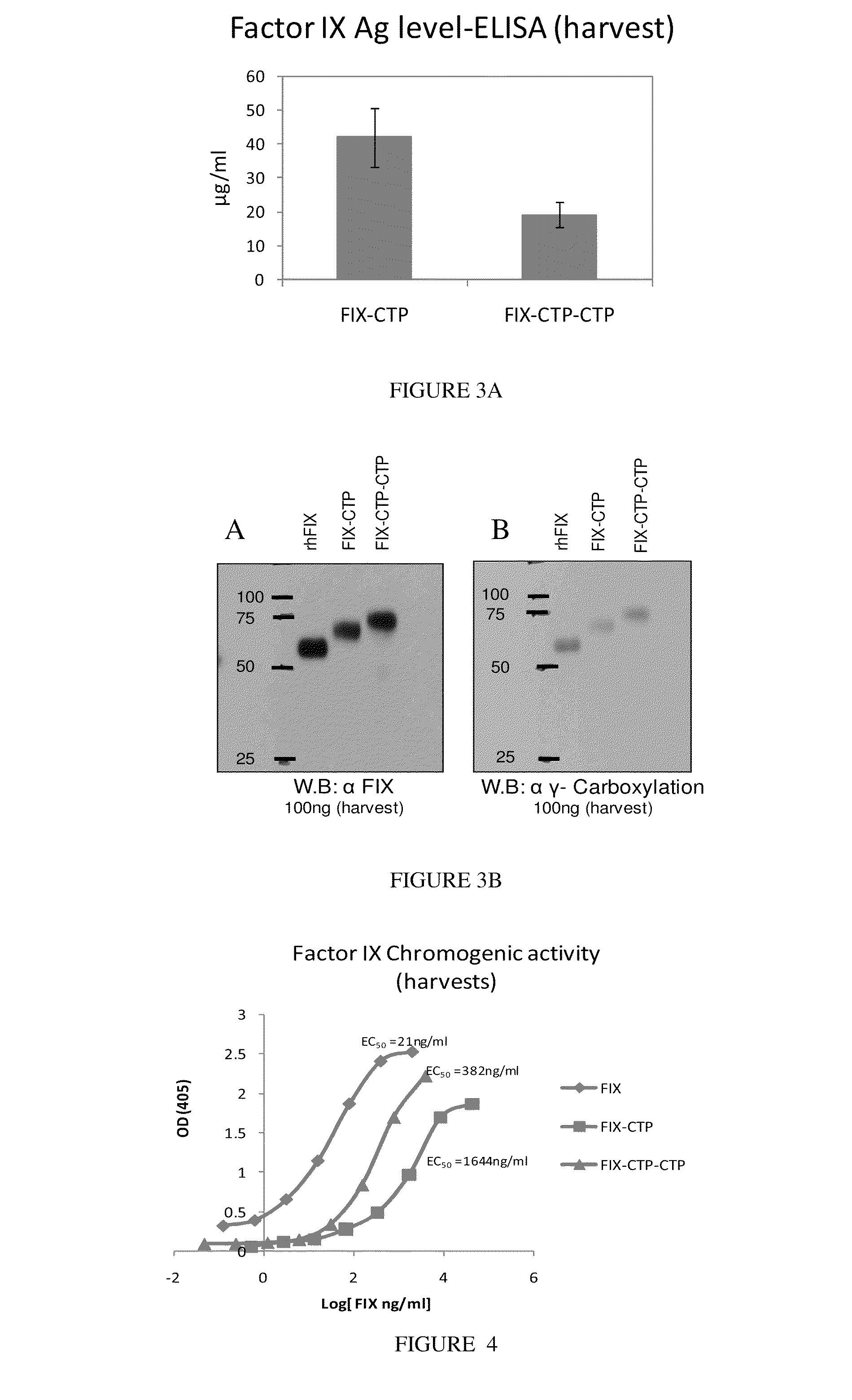 Long-acting coagulation factors and methods of producing same