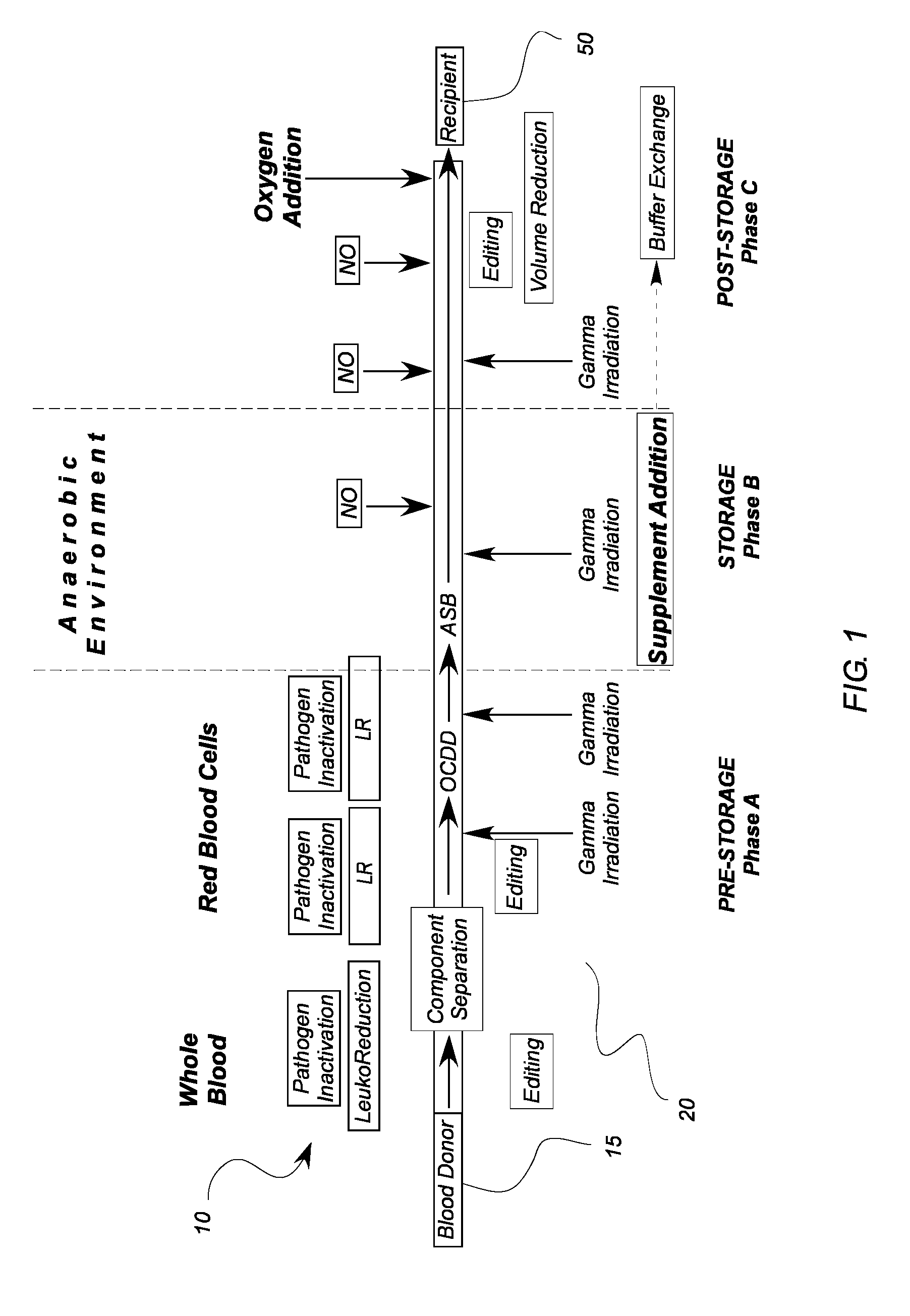 System for extended storage of red blood cells and methods of use