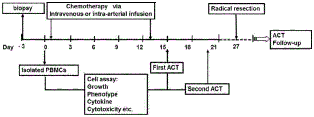 Reagent kit and method for cultivating immune cells and application thereof