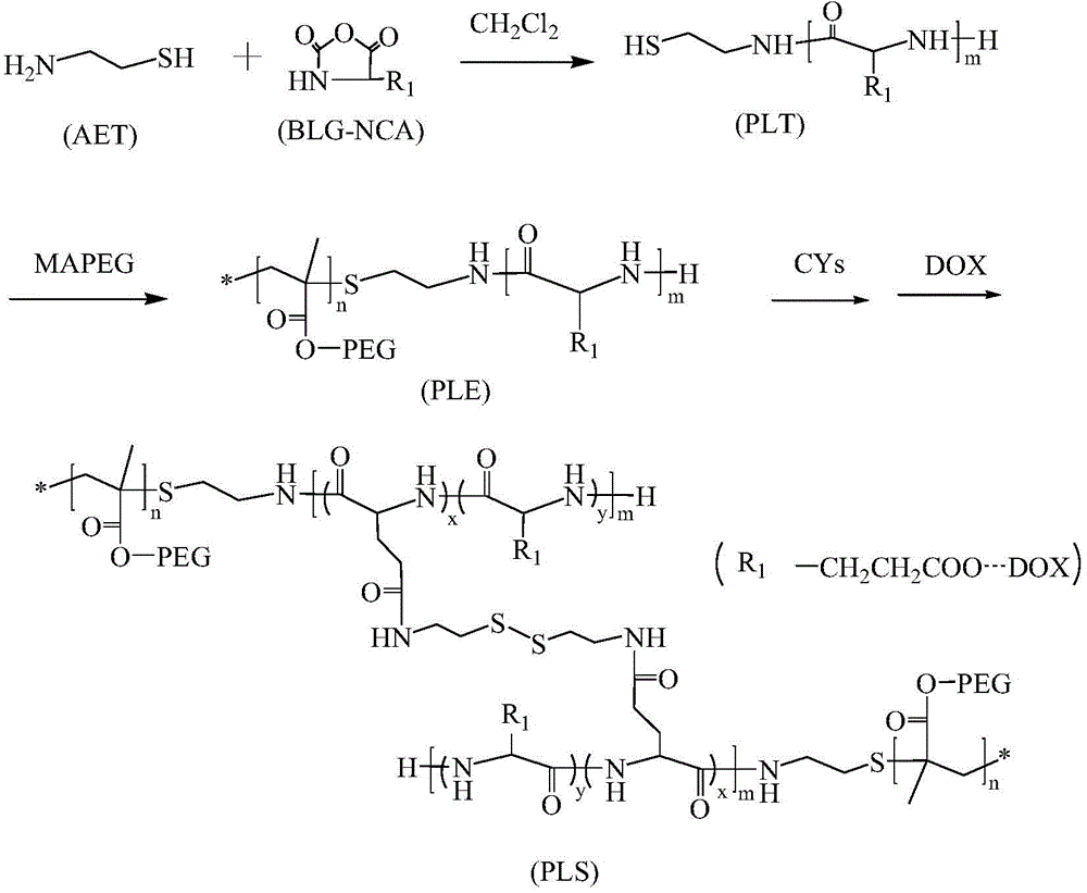 Preparation of poly(L-glutamic acid)-b-polyethylene glycol medicine carrying nano micelle