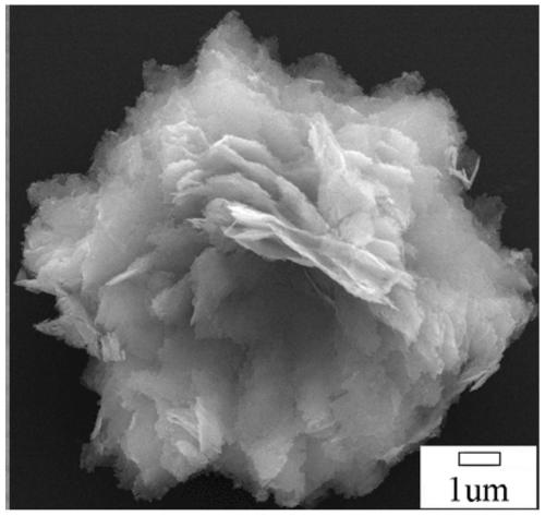A nanoparticle self-assembled peony-like la  <sup>3+</sup> Doping zno and its preparation method and application