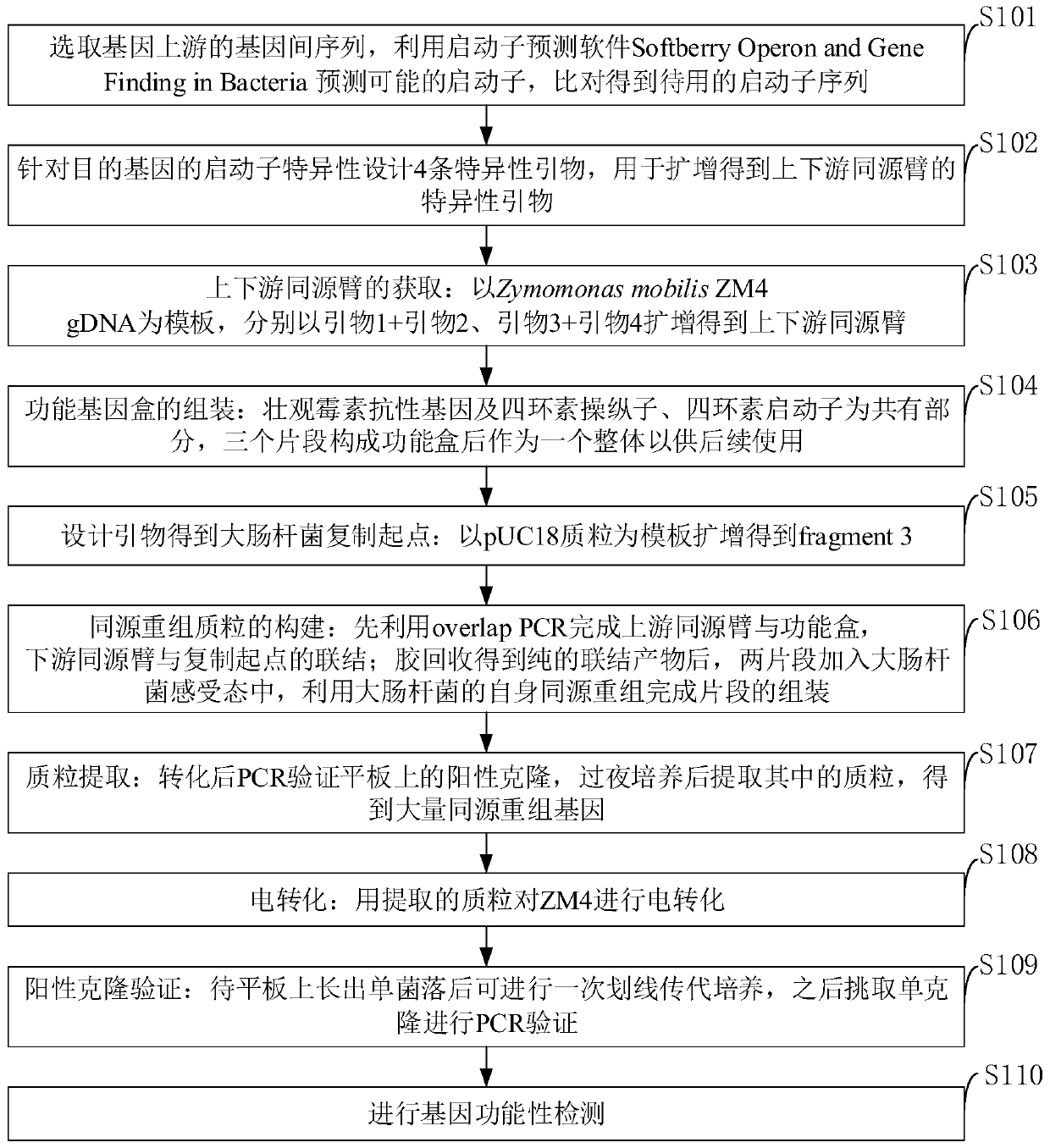 Method for identifying microbial gene functions on basis of inducible promoters