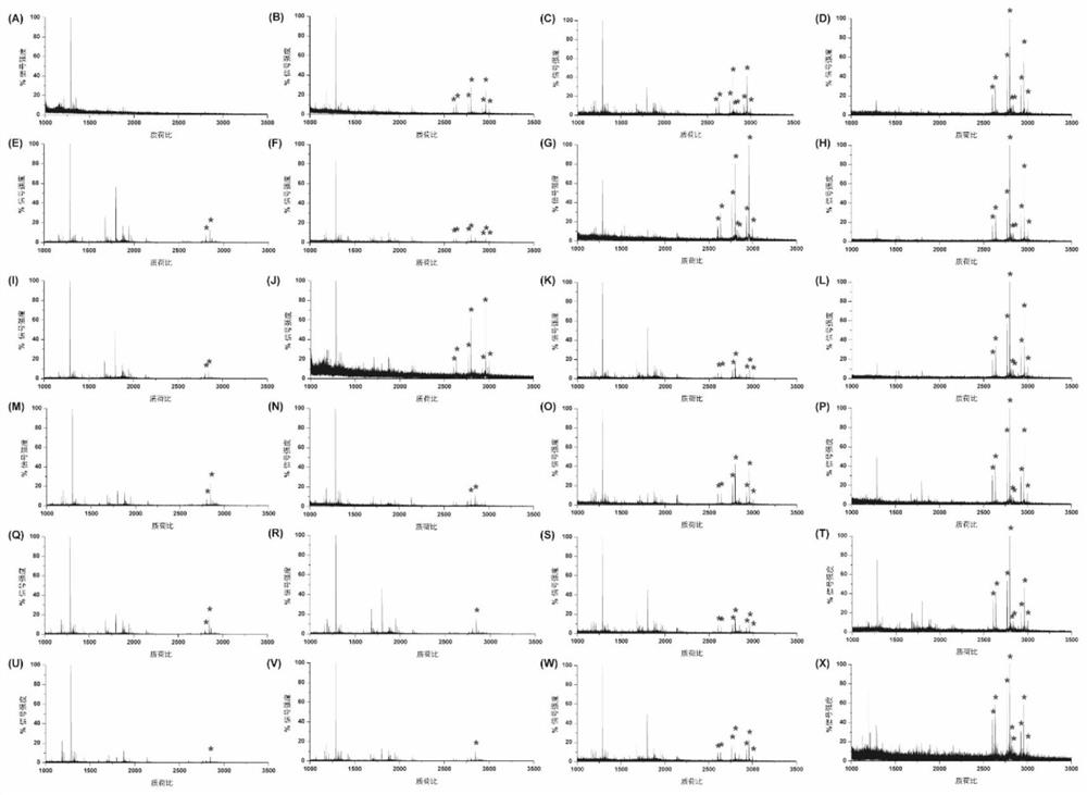 A method for enriching n-glycopeptides or n-sugar chains