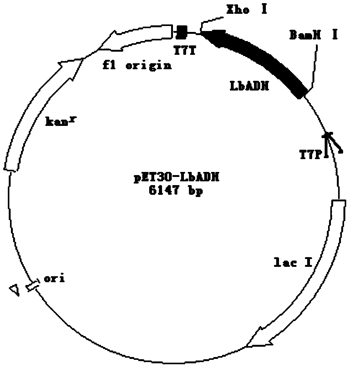 A method for preparing (2s, 3r)-2-benzamidomethyl-3-hydroxybutyric acid methyl ester